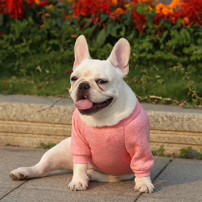 Winter Dog Clothes for Small Dogs Warm Dog Vest French Bulldog Sweatshirt Puppy Cat Costume Chihuahua Coat Schnauzer Pug Outfits