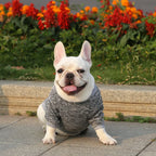 Winter Dog Clothes for Small Dogs Warm Dog Vest French Bulldog Sweatshirt Puppy Cat Costume Chihuahua Coat Schnauzer Pug Outfits