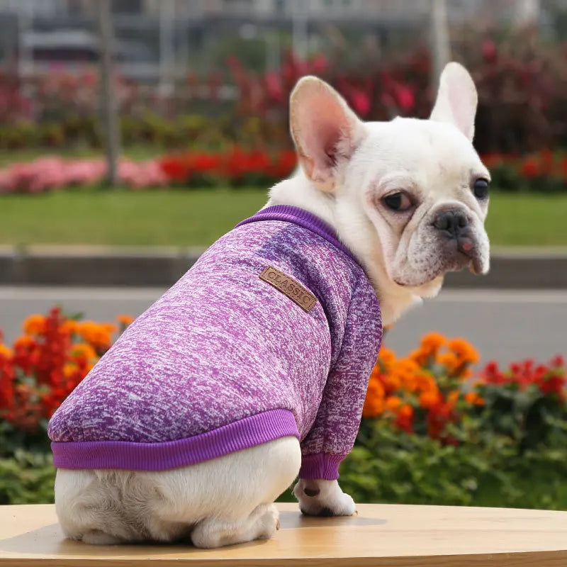 Winter Dog Clothes for Small Dogs Warm Dog Vest French Bulldog Sweatshirt Puppy Cat Costume Chihuahua Coat Schnauzer Pug Outfits