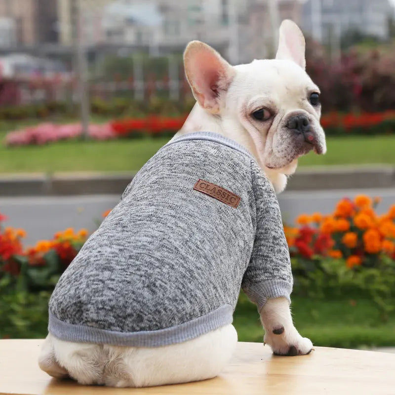 Winter Dog Clothes for Small Dogs Warm Dog Vest French Bulldog Sweatshirt Puppy Cat Costume Chihuahua Coat Schnauzer Pug Outfits