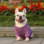 Winter Dog Clothes for Small Dogs Warm Dog Vest French Bulldog Sweatshirt Puppy Cat Costume Chihuahua Coat Schnauzer Pug Outfits