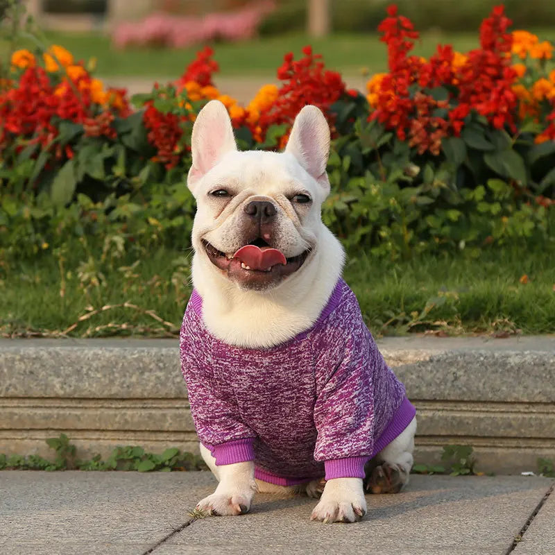 Winter Dog Clothes for Small Dogs Warm Dog Vest French Bulldog Sweatshirt Puppy Cat Costume Chihuahua Coat Schnauzer Pug Outfits