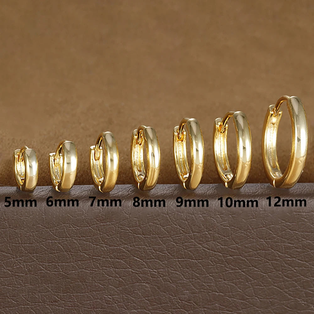 1Pair Stainless Steel Huggie Minimal Hoop Earrings Zirconia Helix Tragus