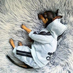 Dog Jumpsuit Winter Warm Pet Clothing for Small Medium Dogs