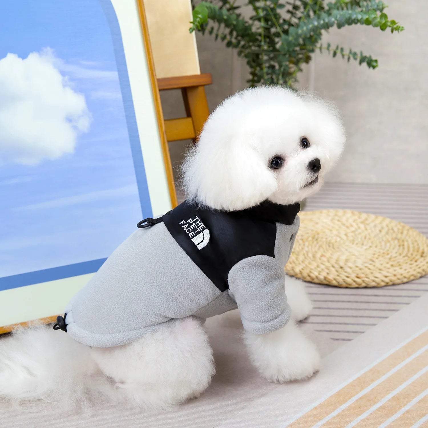 Winter Warm Coat Thick Jacket Dogs Cats Small Medium Breed Puppy Kitten Wear