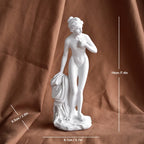 Greek Mythology Goddess Statue Bookshelf Wall Shelves Aphrodite Sculpture Home Decor