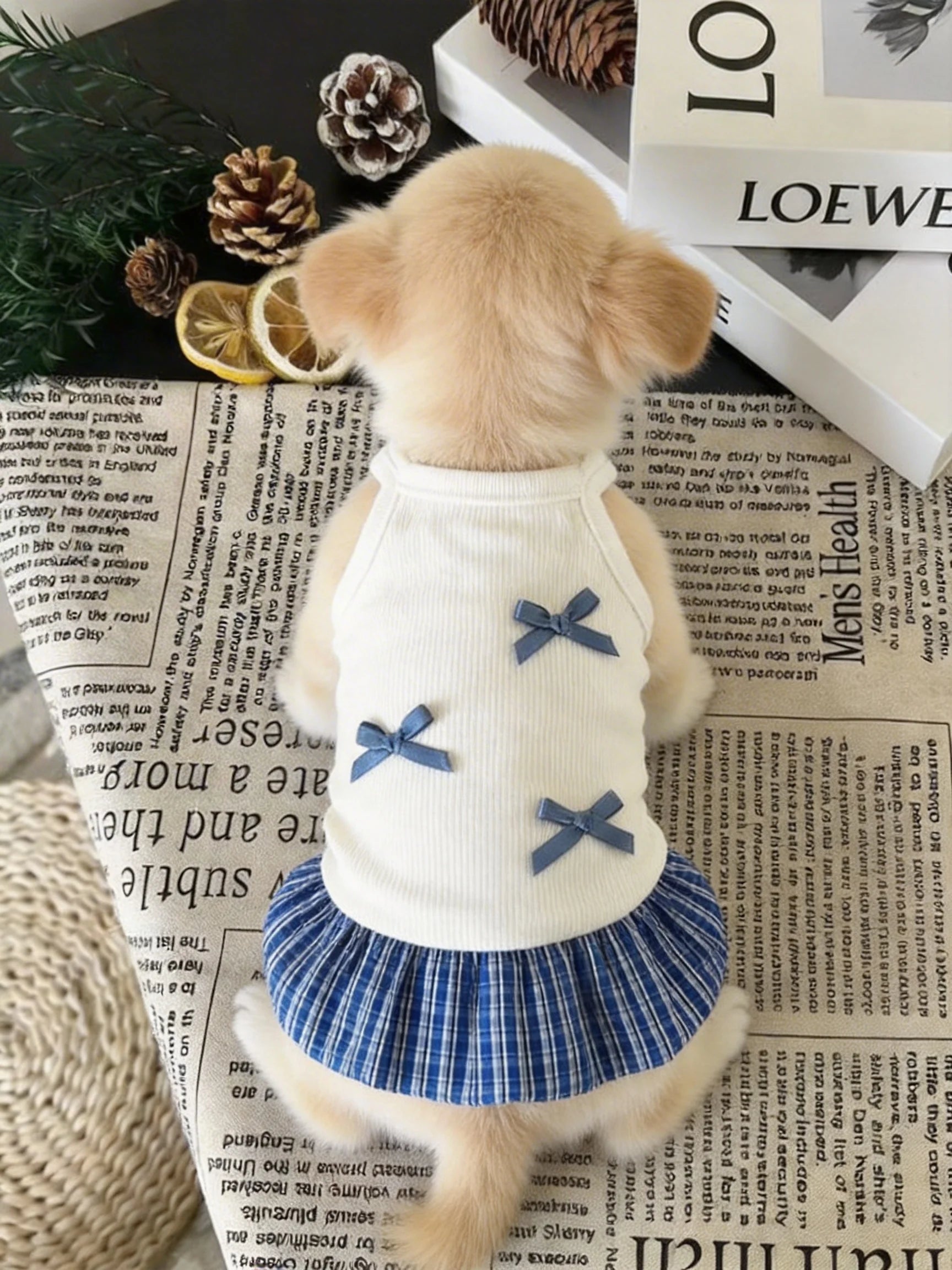 Dog Skirt for Small Dogs, Chic Puppy Dress with Simple Bow, Cute Cat Vest Dress Fashion Pet Clothes for Spring