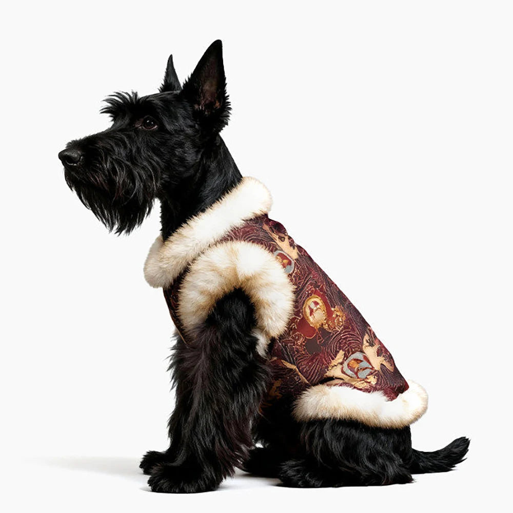 Dog Cat Tang Suit | Chinese New Year Red Coat, Warm Festive Cheongsam Outfit, Traditional Mandarin Collar Design