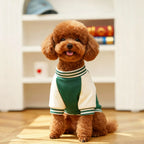 Fleece Dog Jacket Sporty Baseball Style Puppy Clothes Small Medium Breeds