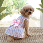 Outdoor Dog Cat Dress with Bow, Cute & Breathable Sundress for Walking, Lightweight Travel Outfit with Bow Tie, Easy Wear for Sm