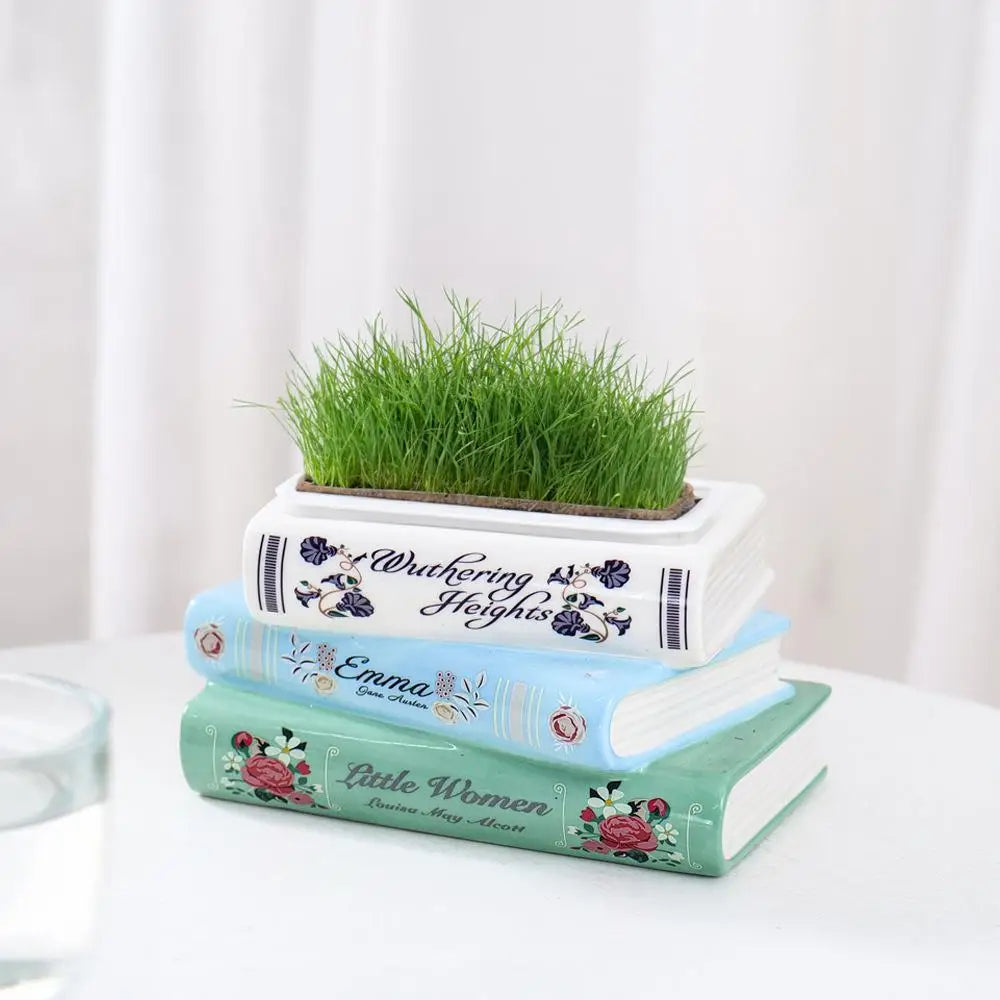 Small Ceramic Book-Shaped Planter with Hole Bookshelf Home Desk Decoration Accessories