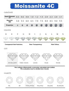 Total 4 carat moissanite ring D Color VVS1 EX Round Moissanite Ring 925 Sterling Silver Eternity Ring Women Engagement Wedding