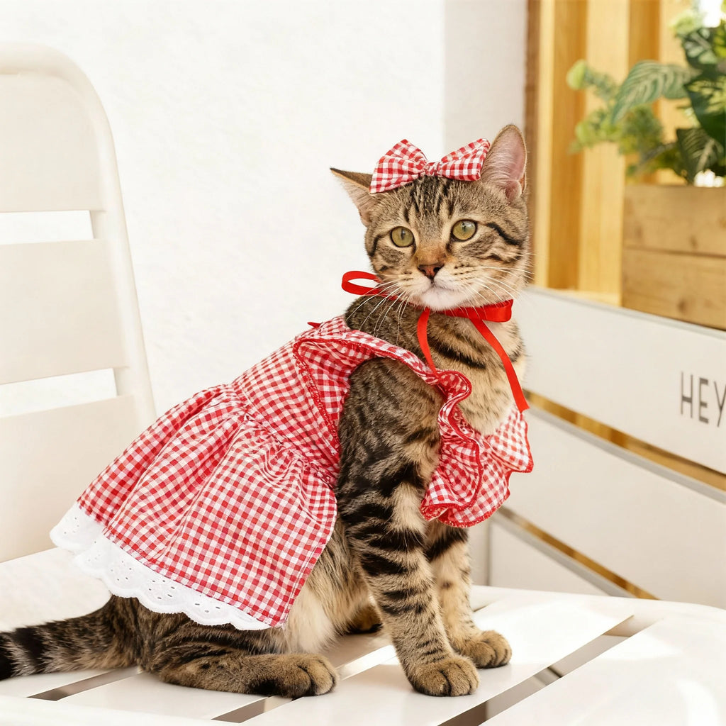 Sweet Bow Dog Cat Dress Set, Floral Lace Party Dress with Bow Tie, Cute Photoshoot Outfit for Small Medium Pets, Special Occasio