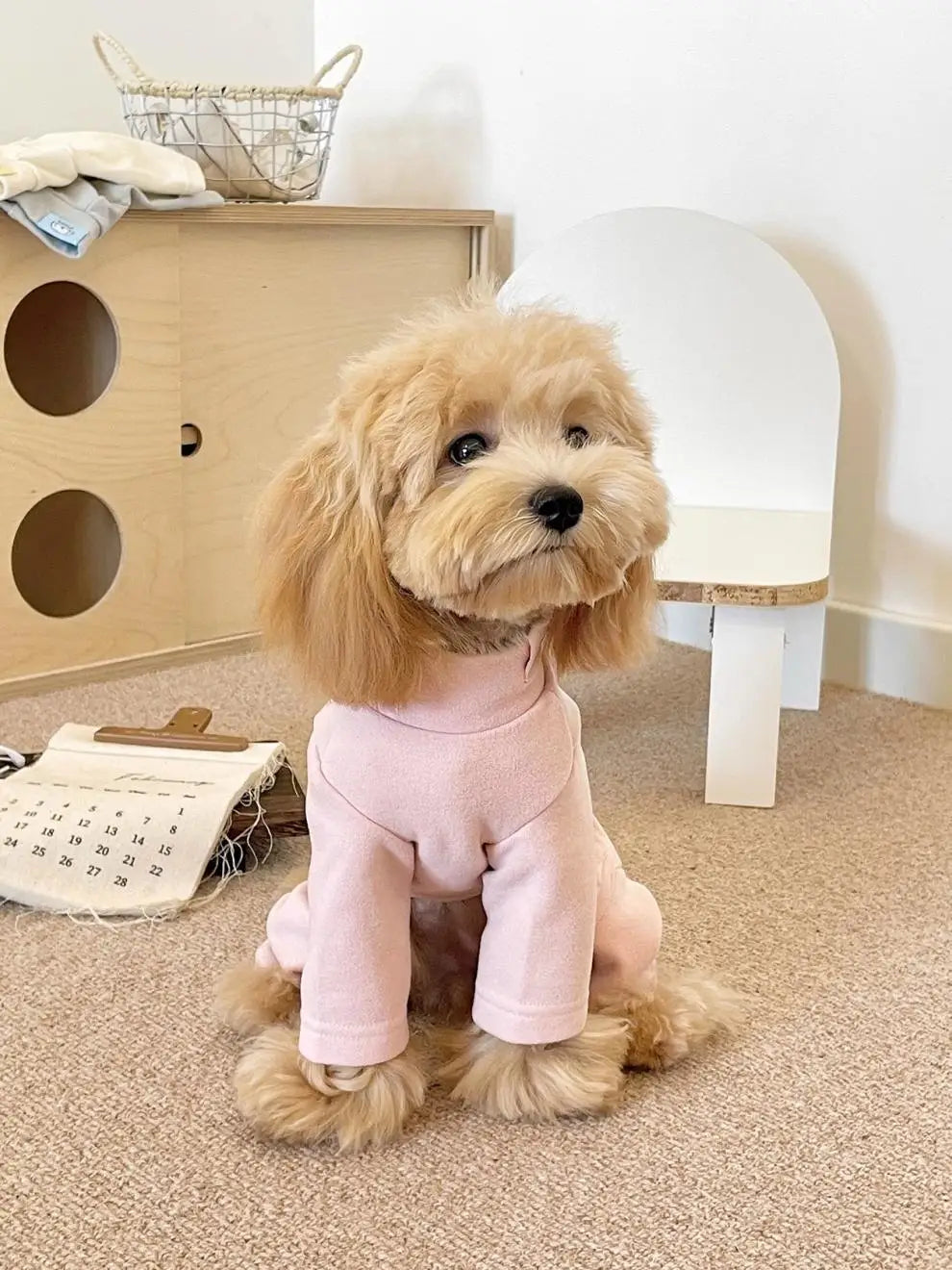 Solid Colour Dog Pajamas Cotton Puppy Bodysuit Base Layer Cat Jumpsuit