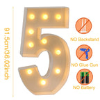 91.5cm Giant LED Light Birthday Number - 1st Birthday, Anniversary, Wedding Decor