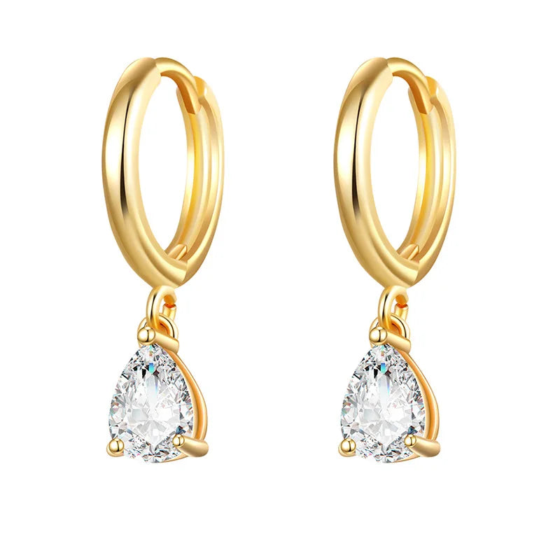 New Stainless Steel Cubic Zirconia Hoop Earrings Small Pendant