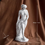 Greek Mythology Goddess Statue Bookshelf Wall Shelves Aphrodite Sculpture Home Decor