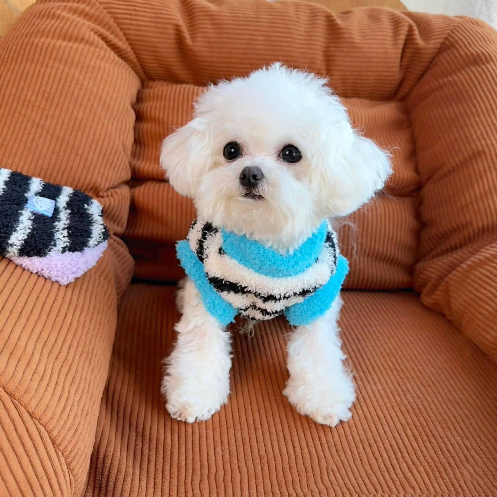 Striped Plush Pet Vest Warm Fleece Dog Cat Sweater Sleeveless Puppy Outfit