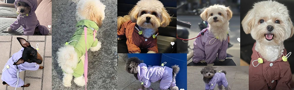 Dog Jacket Series Windproof Raincoat Waterproof Outdoor Jumpsuit Costume