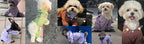 Dog Jacket Series Windproof Raincoat Waterproof Outdoor Jumpsuit Costume
