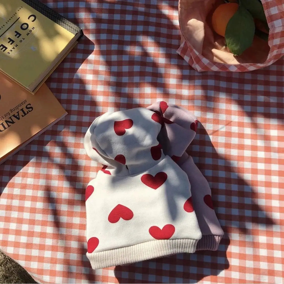 Fashion Dog Hoodie Sweatshirt for Small Medium Dogs, Chic Fashion Puppy Clothes with Heart Design, Cute Hooded Pet Coat  Outfits
