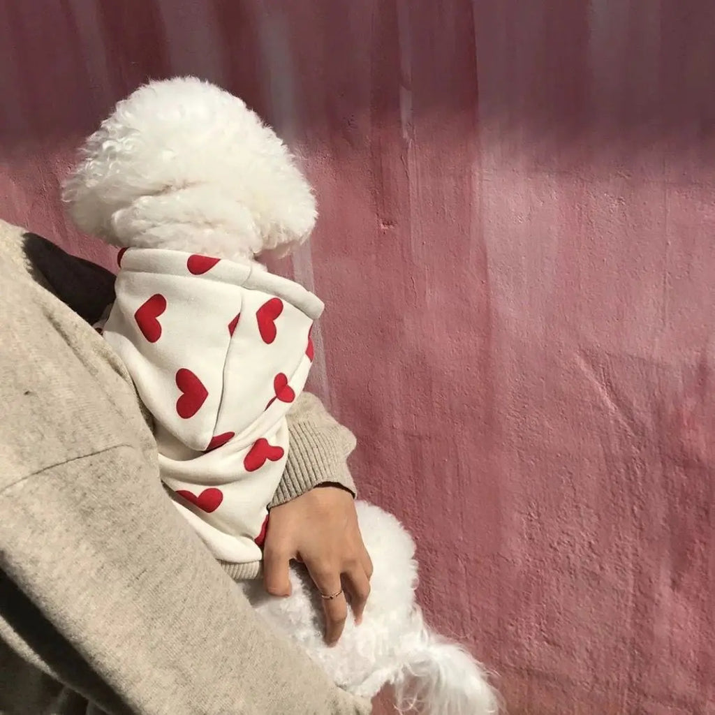 Fashion Dog Hoodie Sweatshirt for Small Medium Dogs, Chic Fashion Puppy Clothes with Heart Design, Cute Hooded Pet Coat  Outfits