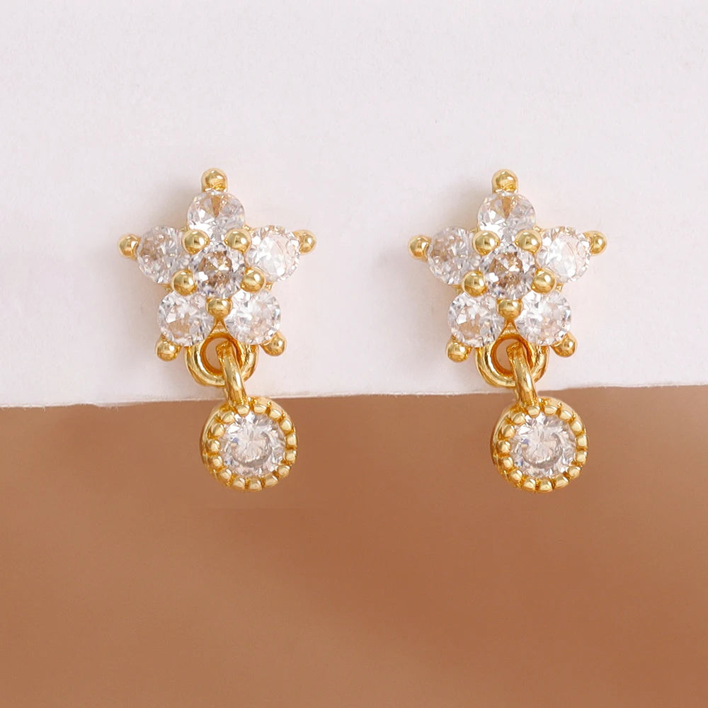 Luxury Stainless Steel Star Dangle Earrings Zircons Geometric Piercing