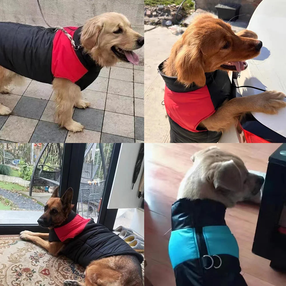 Winter Warm Fleece Dog Jacket For Small Large Dogs Cats Waterproof Pet Vest Jacket with D-ring Labrador French Bulldog Clothing