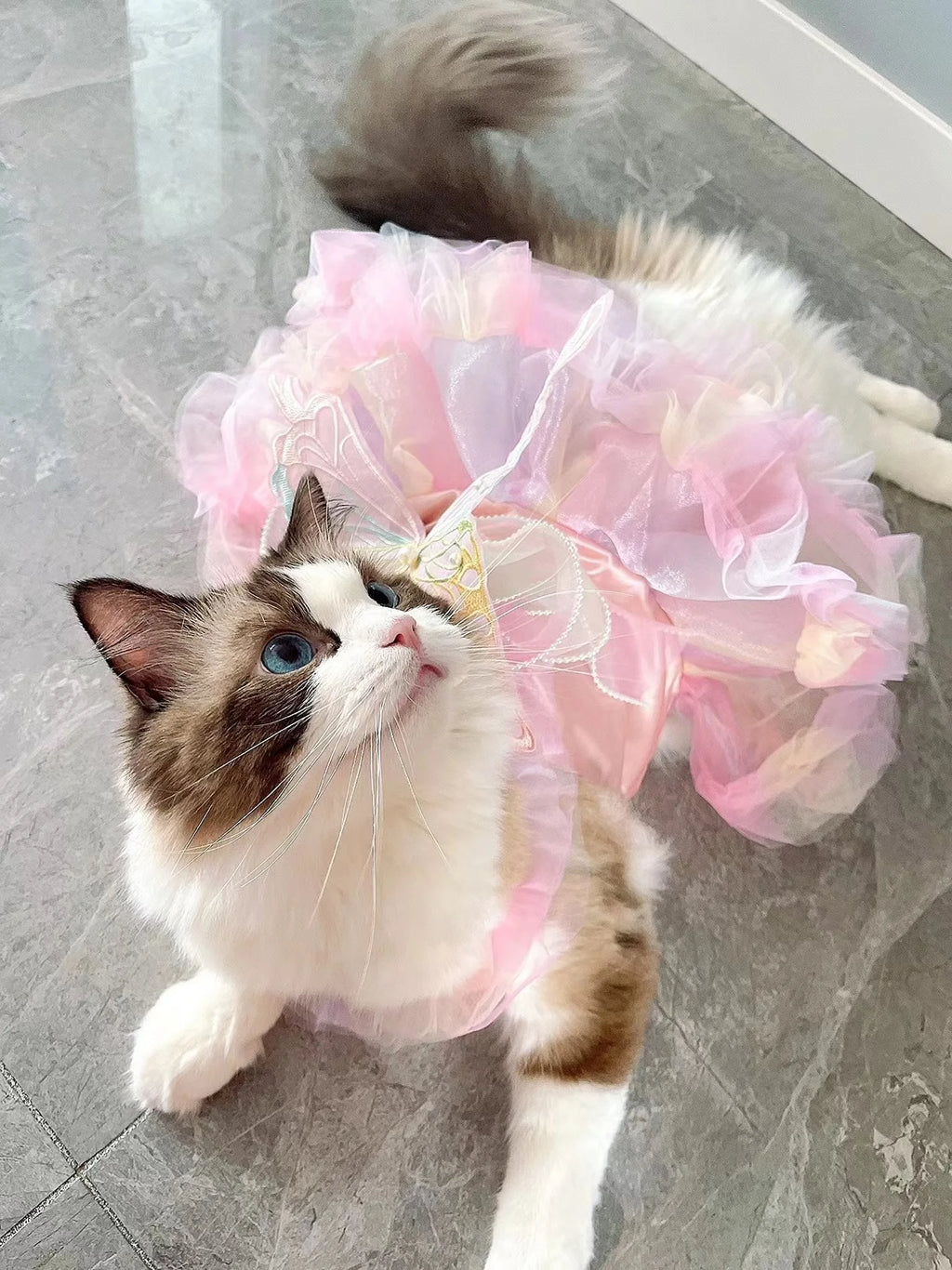 Pet Fairy Costume - Fluffy Princess Tutu Dress for Dogs and Cats, Elegant Party Gown, Photo Shooting Birthday Outfit