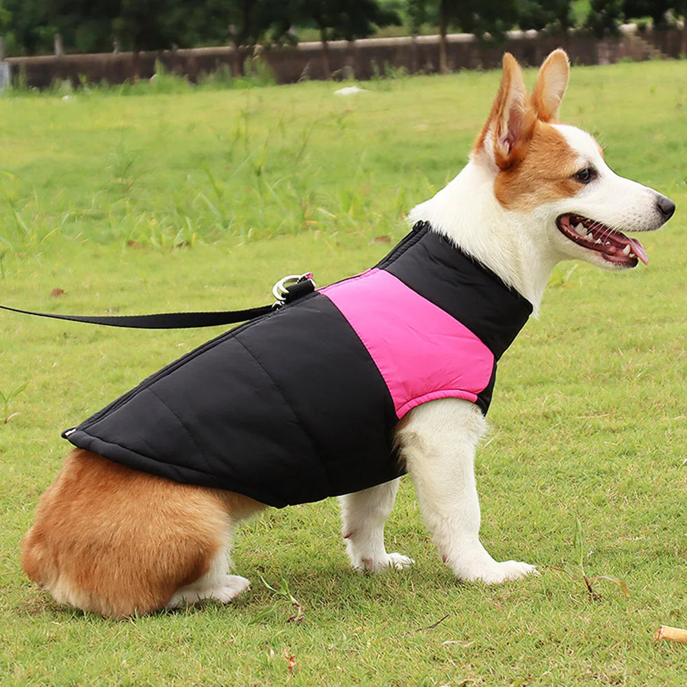 Winter Warm Fleece Dog Jacket For Small Large Dogs Cats Waterproof Pet Vest Jacket with D-ring Labrador French Bulldog Clothing
