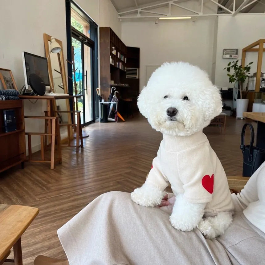 Love Heart Pet Hoodie Soft Warm Dog Cat Pullover Winter Clothing Gift