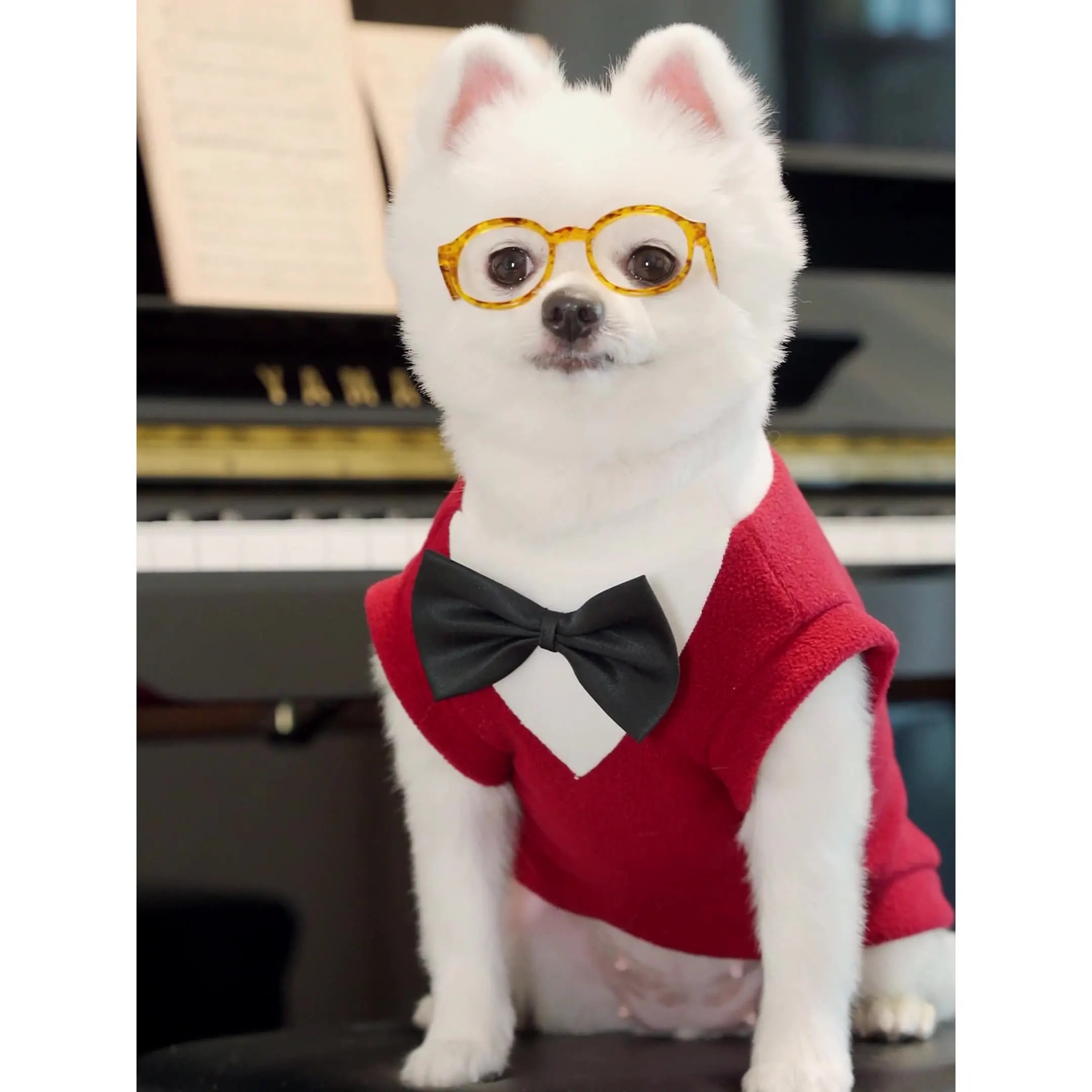 Elegant Pet Tuxedo for Small Dogs Cats Wedding Party Suit with Bow Tie Formal Outfit Dog Clothes Costume