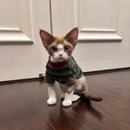 Warm Stripe Sweatshirt Dog Cat Winter Clothes Plush Hoodie Puppy Kitten Gift