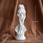 Greek Mythology Goddess Statue Bookshelf Wall Shelves Aphrodite Sculpture Home Decor