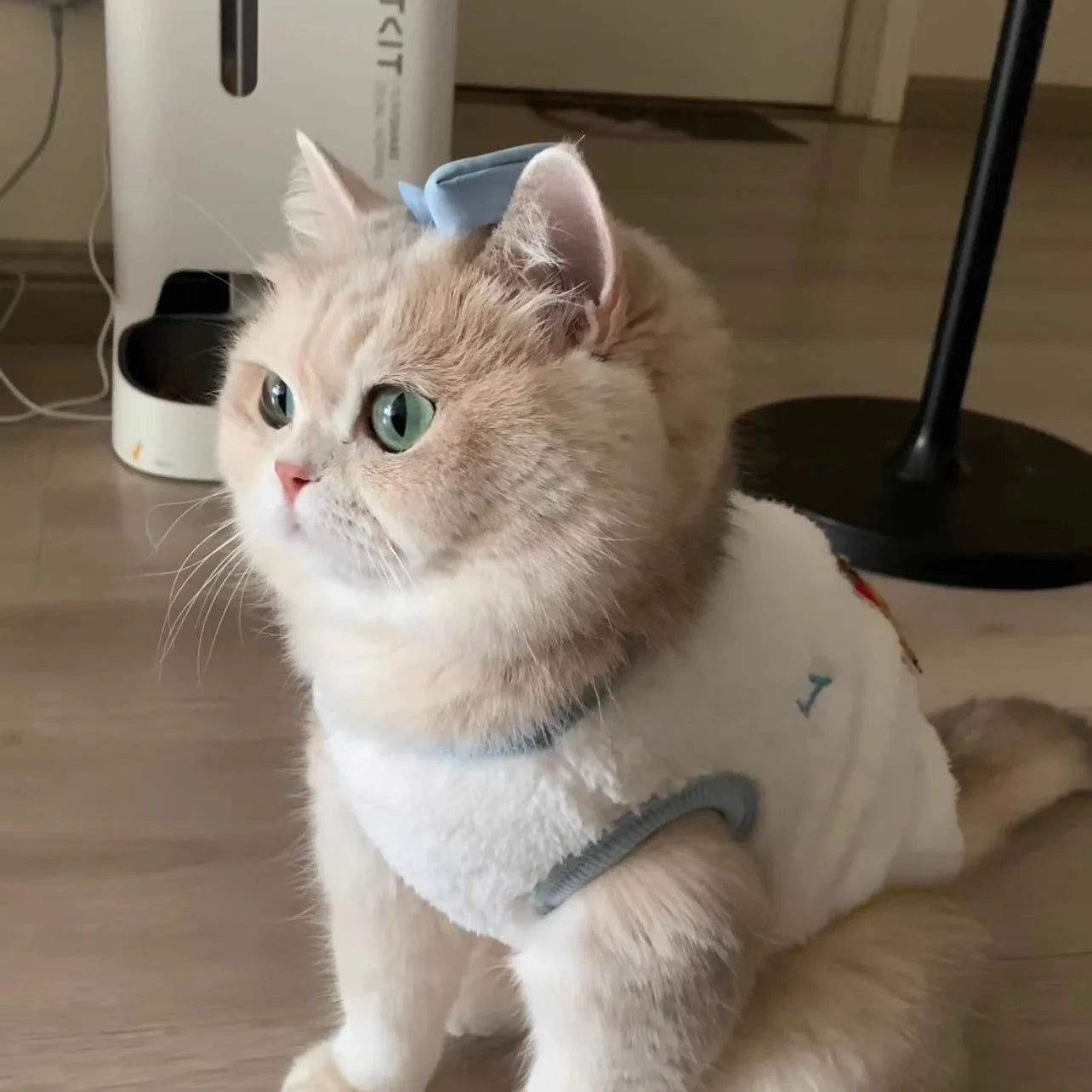Cozy Cat Vest Indoor Winter Warm Plush Fleece Jacket Puppy Kitten Clothes