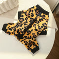 Dinosaur Pet Jumpsuit 4-Leg Winter Clothes Plush Lining Puppy Kitten Outfit