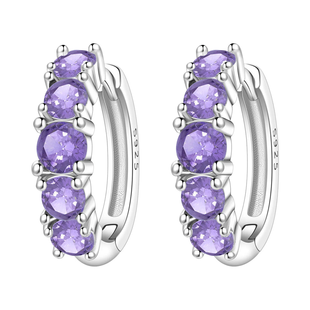 925 Sterling Silver Sparkling Zircon Hoop Earrings Trendy Jewellery Gift
