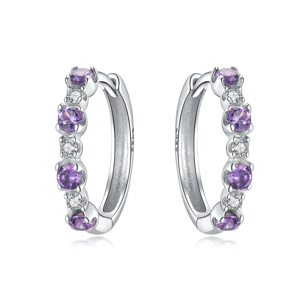 925 Sterling Silver Crystal Circular Eardrops Fashion Versatile Drop Earrings