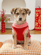 Fashion Pet Clothes Warm Fleece Dog Vest, Stylish Thick Plush Puppy Coat for Small Medium Dogs, Cute Cat Jacket Outfits