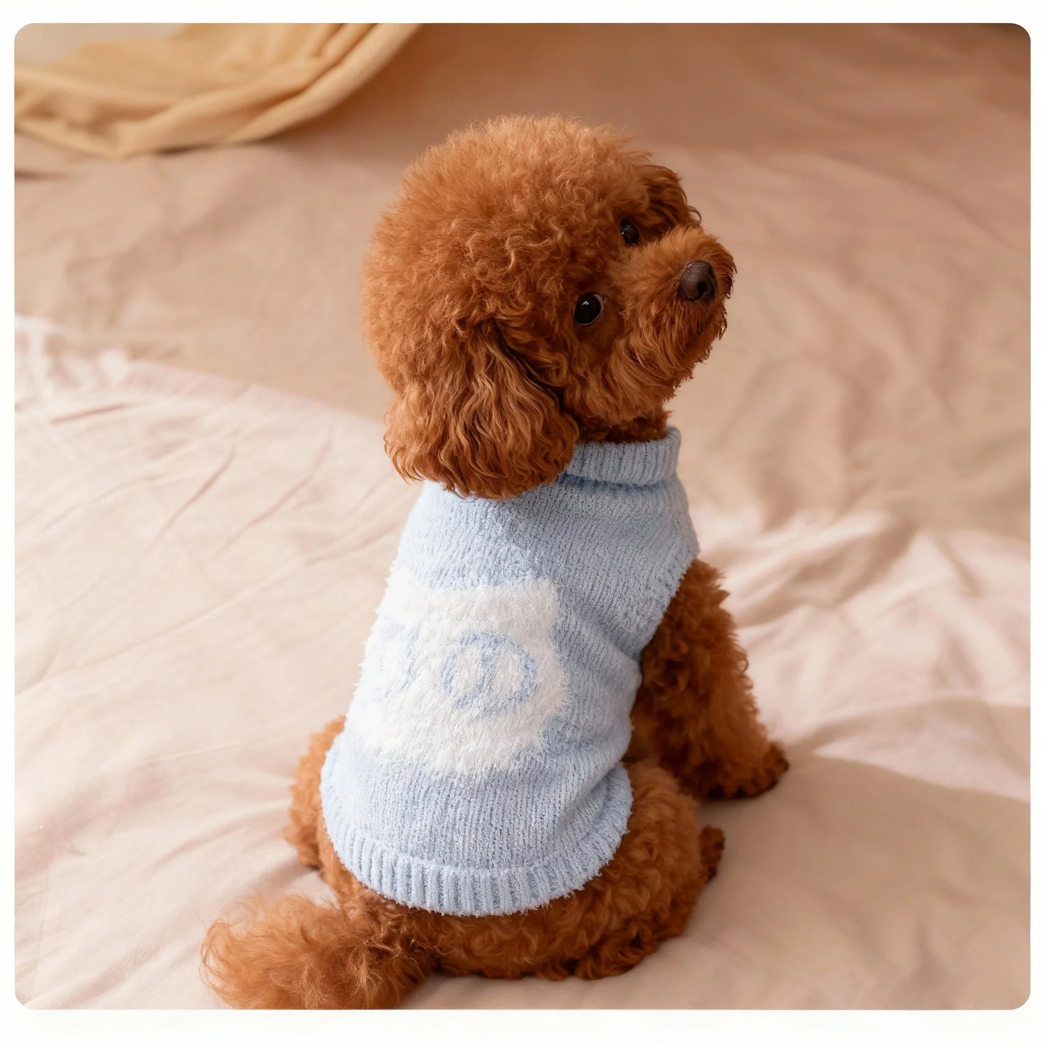 Macaron Color Pet Vest, Pastel Soft Plush Dog Cat Sweater, Cute Cloudlike Fuzzy Warm Vest for Small Pets, Kawaii Daily Fashion