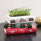 Small Ceramic Book-Shaped Planter with Hole Bookshelf Home Desk Decoration Accessories