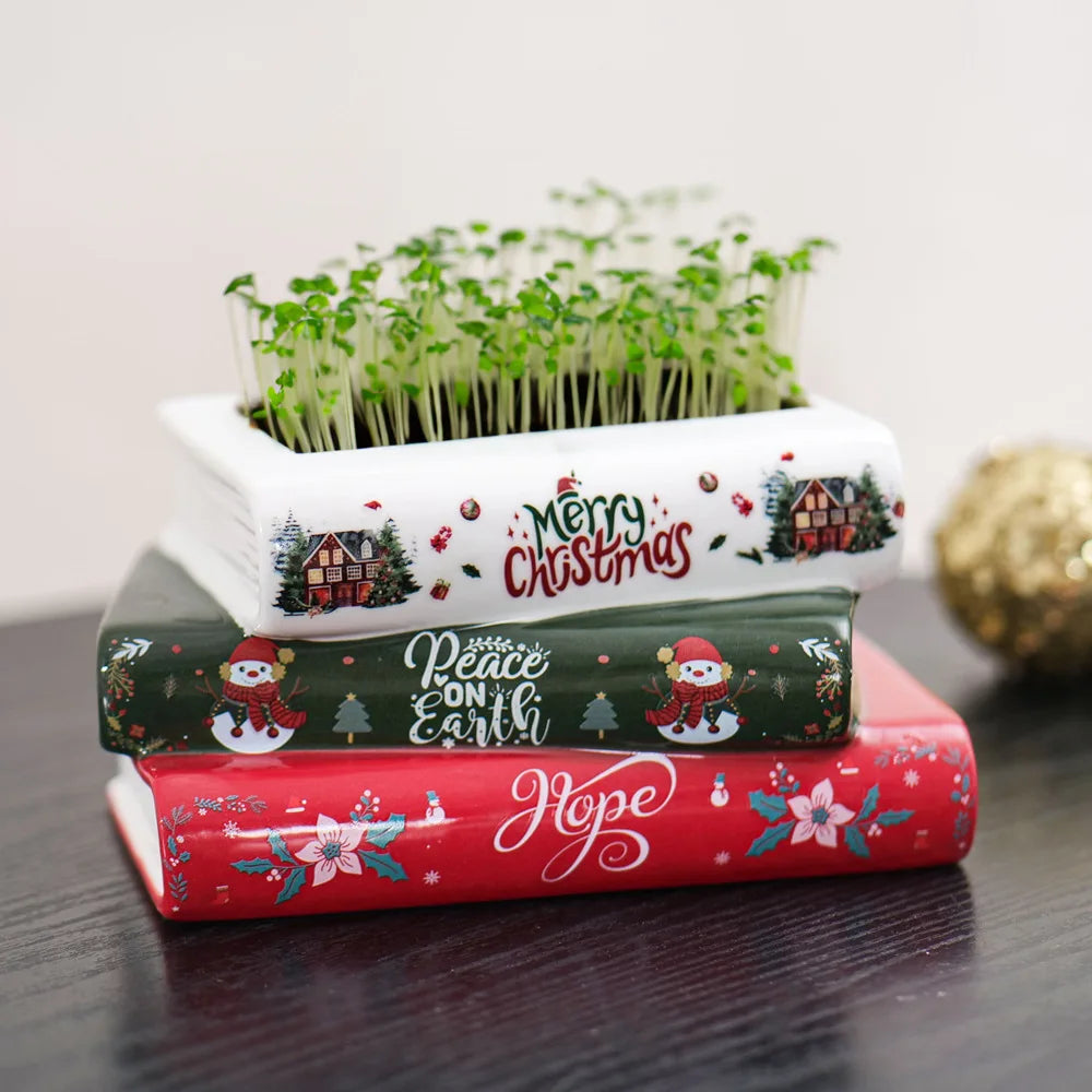 Small Ceramic Book-Shaped Planter with Hole Bookshelf Home Desk Decoration Accessories