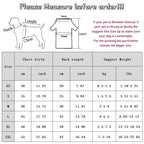 Winter Coats for Dogs Fleece Bear Dog Baseball Jacket Puppy Costume Cat Clothing Chihuahua Bichon Dachshund Items Dog Clothes