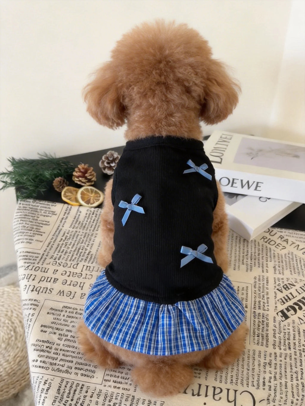 Dog Skirt for Small Dogs, Chic Puppy Dress with Simple Bow, Cute Cat Vest Dress Fashion Pet Clothes for Spring