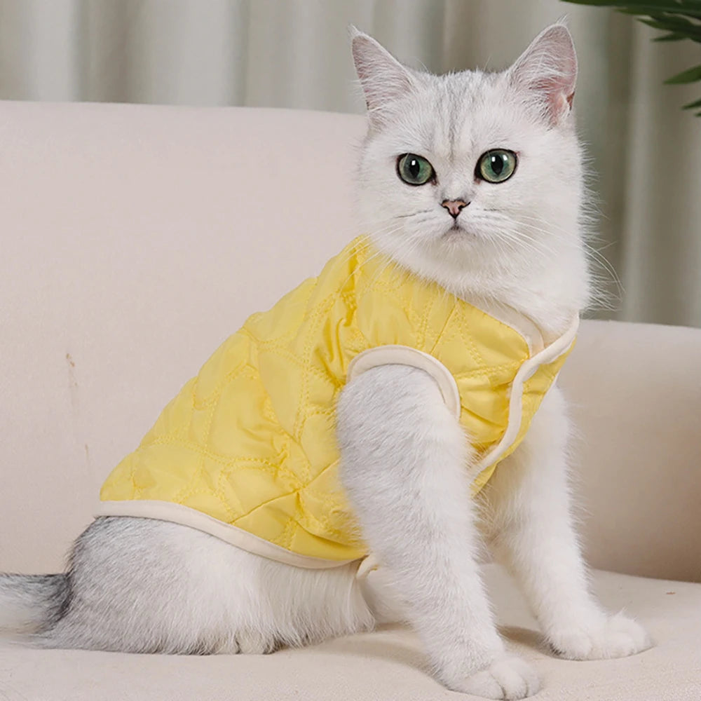 Macaron Colour Cat Sweater Warm Kitten Clothing Vest Soft Pet Apparel