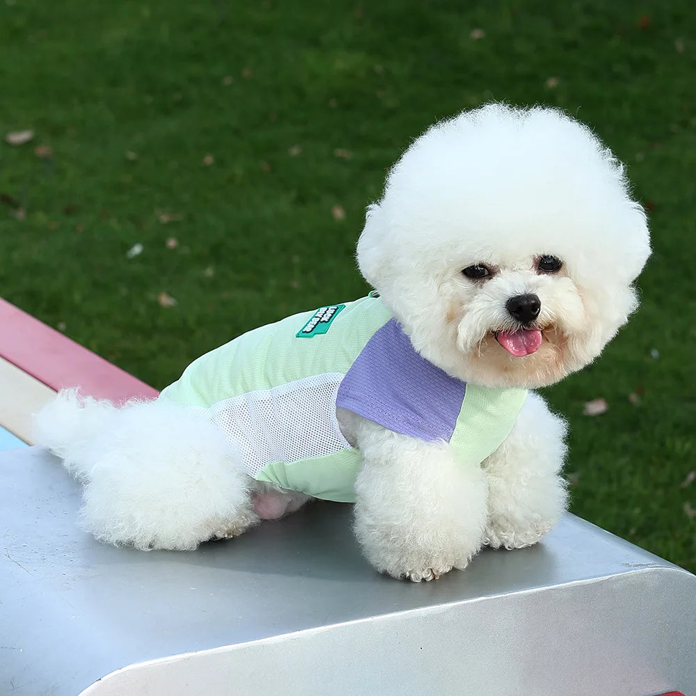 UV Protection Cooling Vest Dogs Cats Ice Silk Breathable Mesh Summer Wear