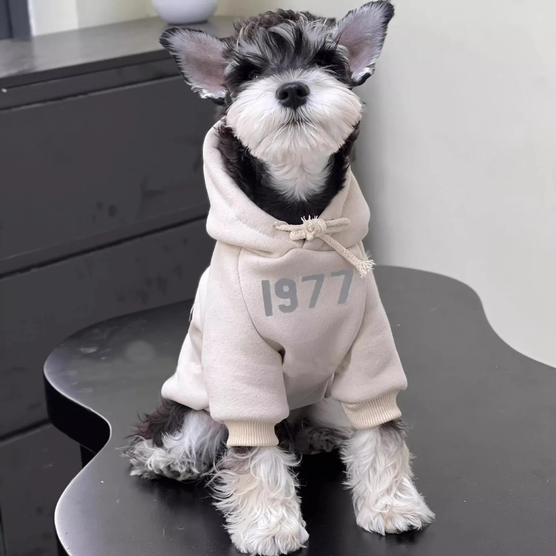 Cozy Fleece Dog Hoodie - Soft Comfortable Pullover, Cute Casual Pet Hoodie for Everyday Fashion Outfit