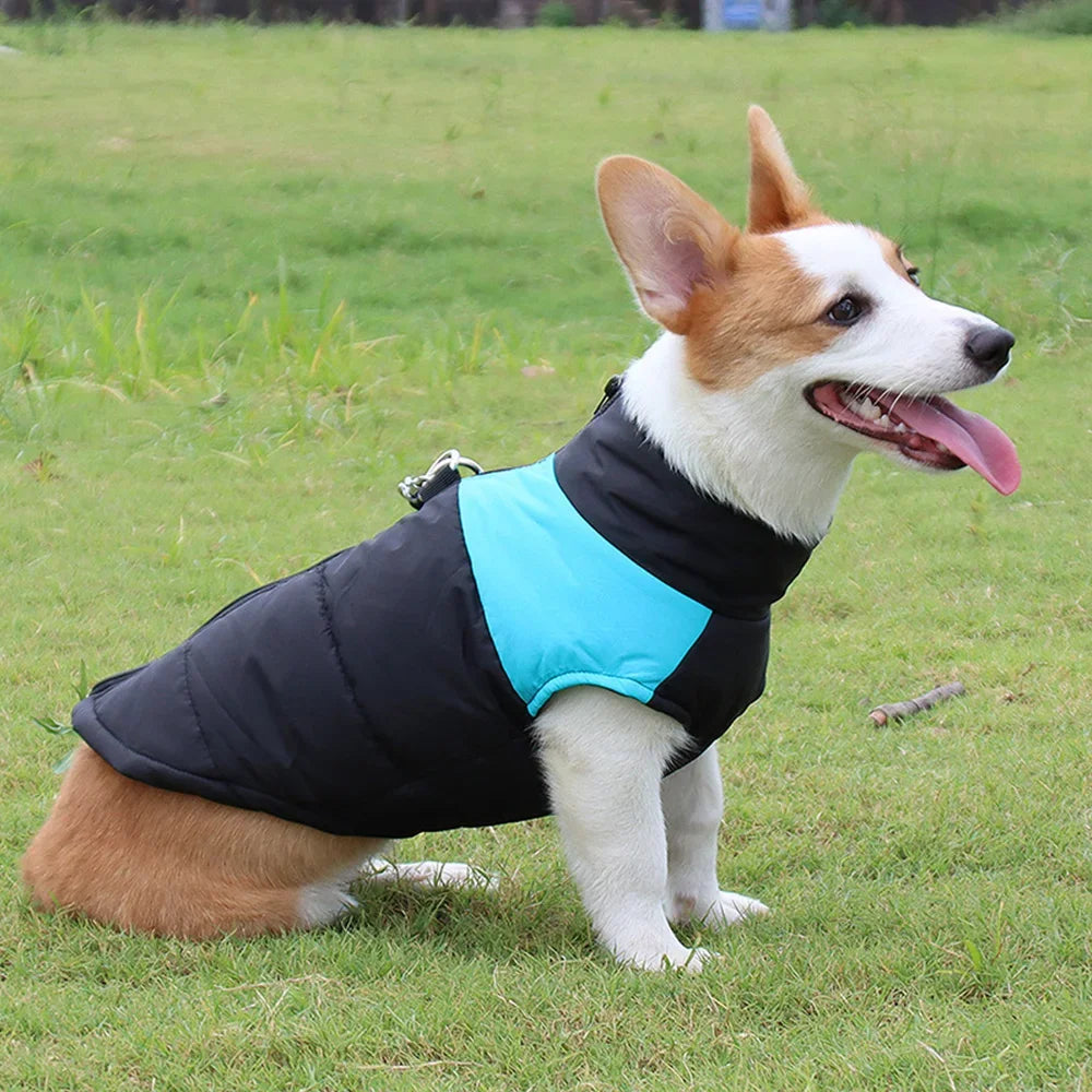Winter Warm Fleece Dog Jacket For Small Large Dogs Cats Waterproof Pet Vest Jacket with D-ring Labrador French Bulldog Clothing