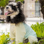 Dog Cooling Vest Summer UV Sun Protection Breathable Mesh Ice Jacket Adjustable